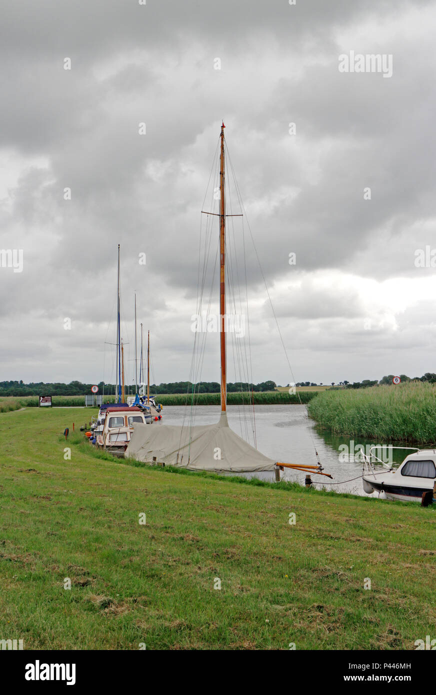 A view of Upton Dyke joining the River Bure on a cloudy June day on the
