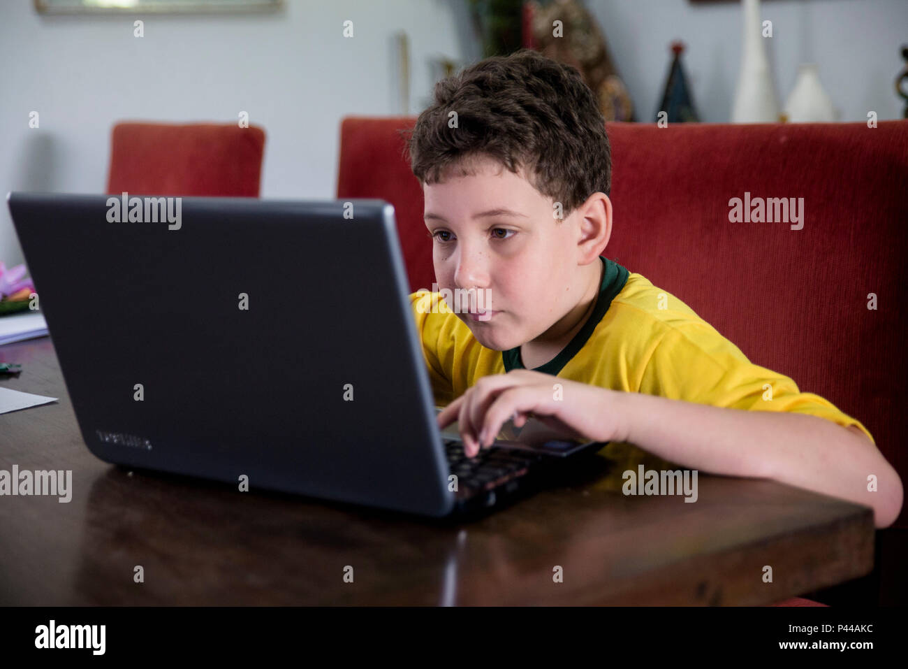 Menino Pedro Carvalho estudando no computador, com autorizaÃ§Ã£o de uso de imagem . SÃ£o JoÃ£o da Boa Vista/SP, Brasil 08/11/2013. Foto: Alexandre Carvalho / Fotoarena Stock Photo