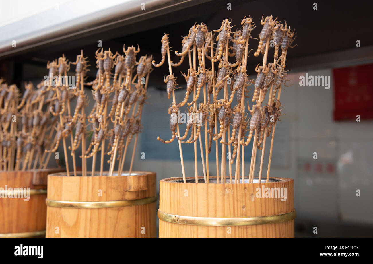 Fried delicious scorpions on the stick ready to be eaten on the snack street in Beijing China. Asian cuisine Stock Photo