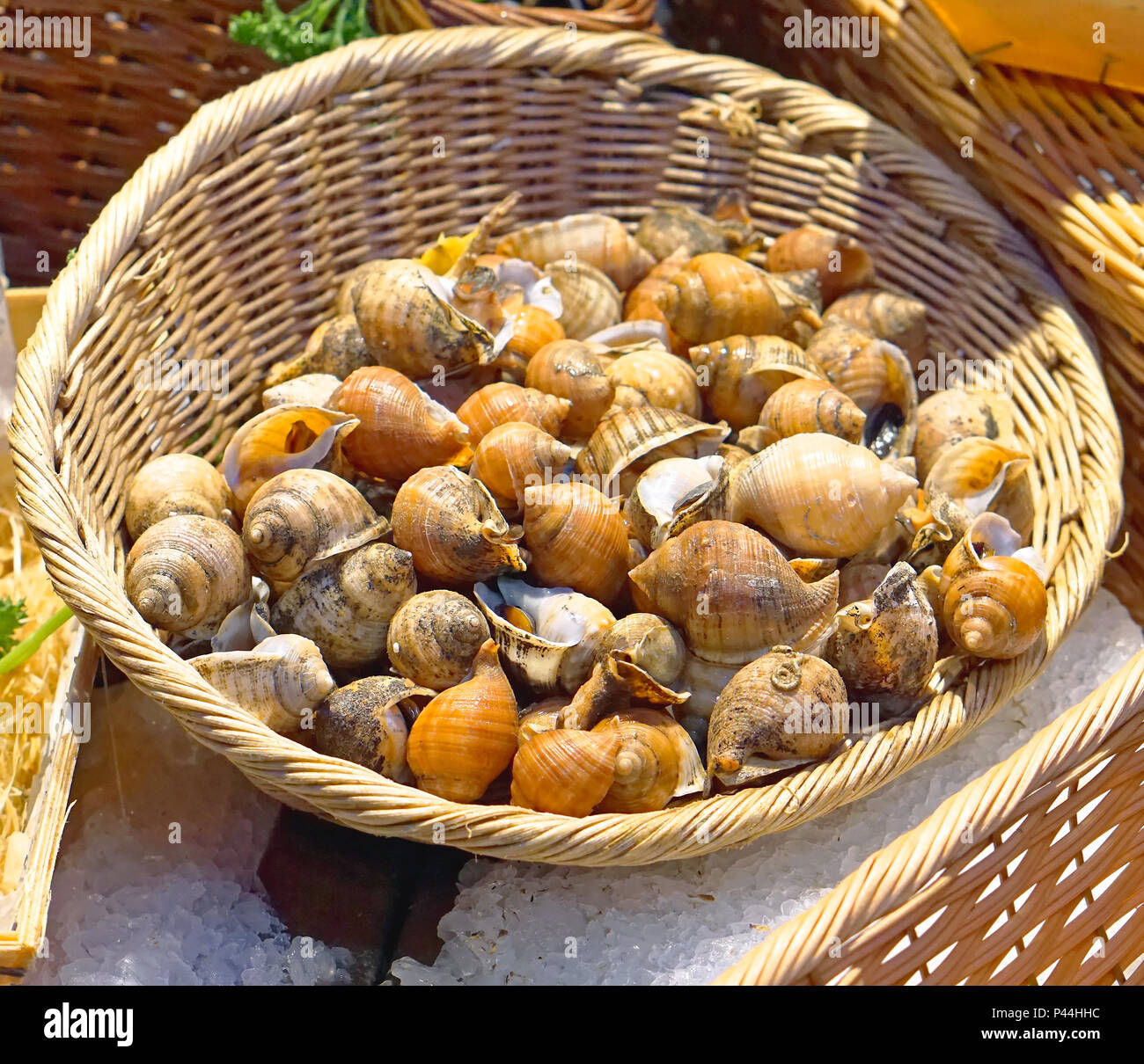 Edible snails in basket at french market Stock Photo Alamy