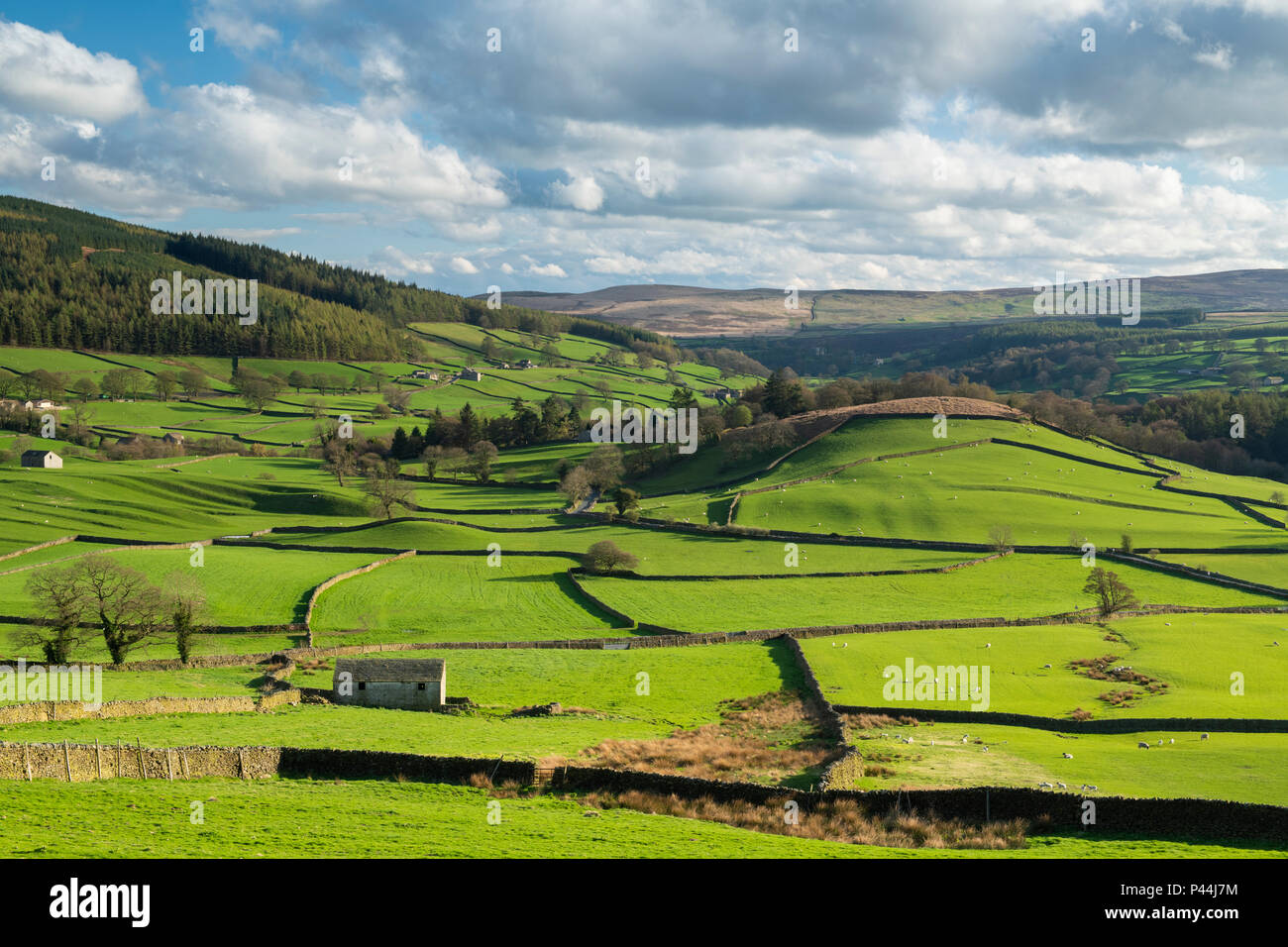 Under dramatic blue sky, long-distance picturesque view of Wharfedale (isolated barns & green pasture in sunlit valley) - Yorkshire Dales, England, UK Stock Photo
