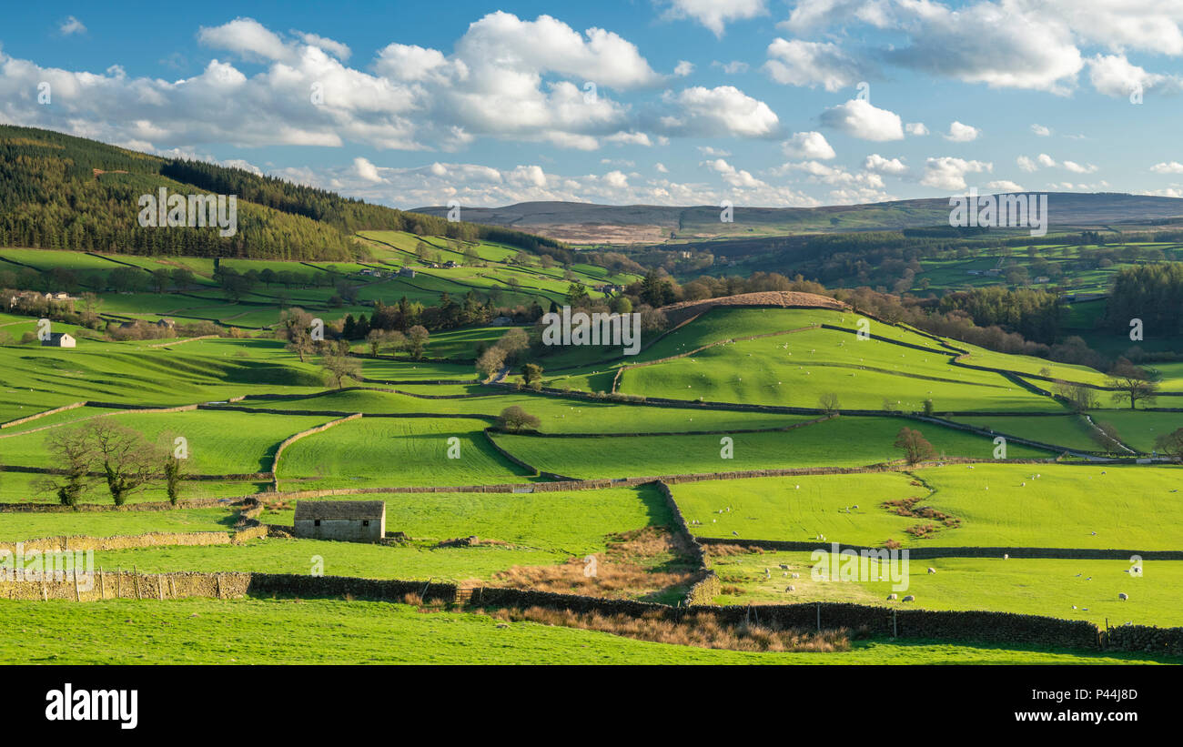 Under dramatic blue sky, long-distance picturesque view to Wharfedale (isolated barns & green pasture in sunlit valley) - Yorkshire Dales, England, UK Stock Photo