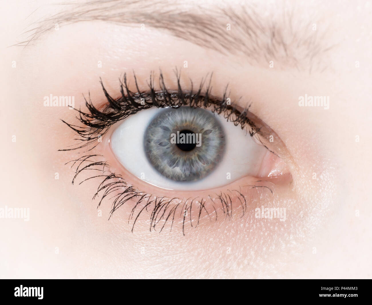 Gray woman eye close up. Looking at camera Stock Photo