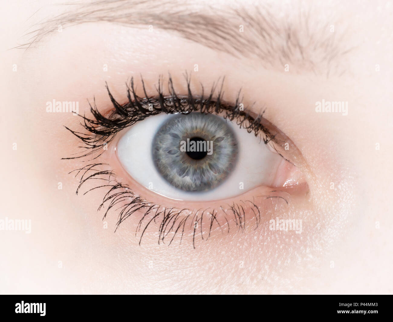 Human eye close up black and white hi-res stock photography and images ...