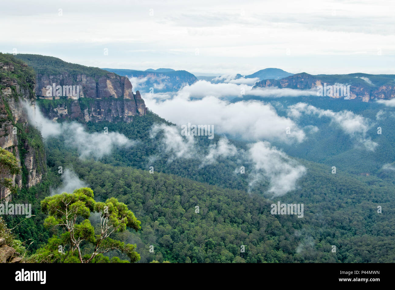 View of Grose Valley.  Blue Mountains in Australia. Stock Photo