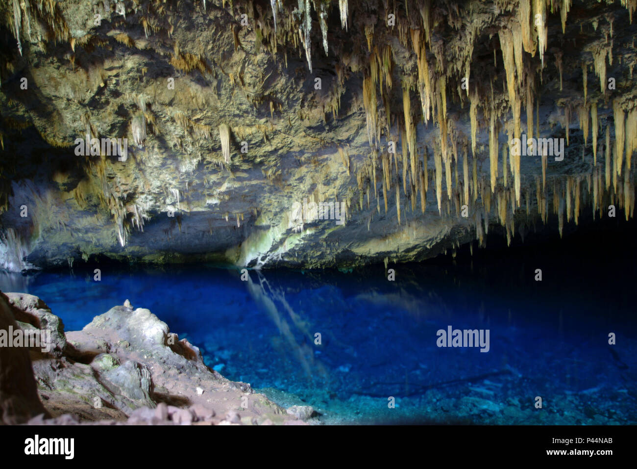 Gruta do Lago Azul. Bonito/MS Data: 03/02/2006 Foto: T. Fernandes/ Fotoarena Stock Photo