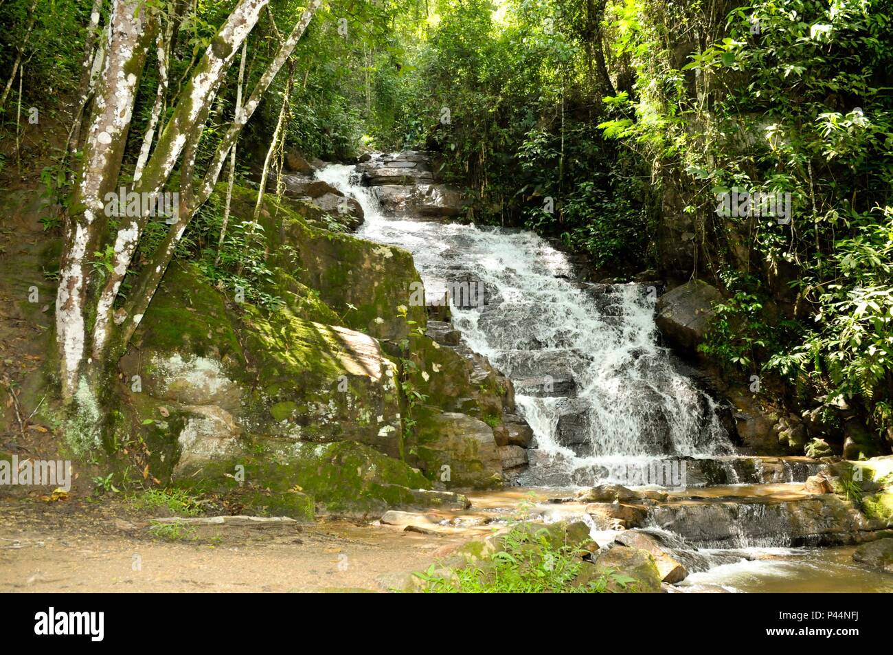 Monteiro Lobato São Paulo fonte: c8.alamy.com Fonte: c8.alamy.com