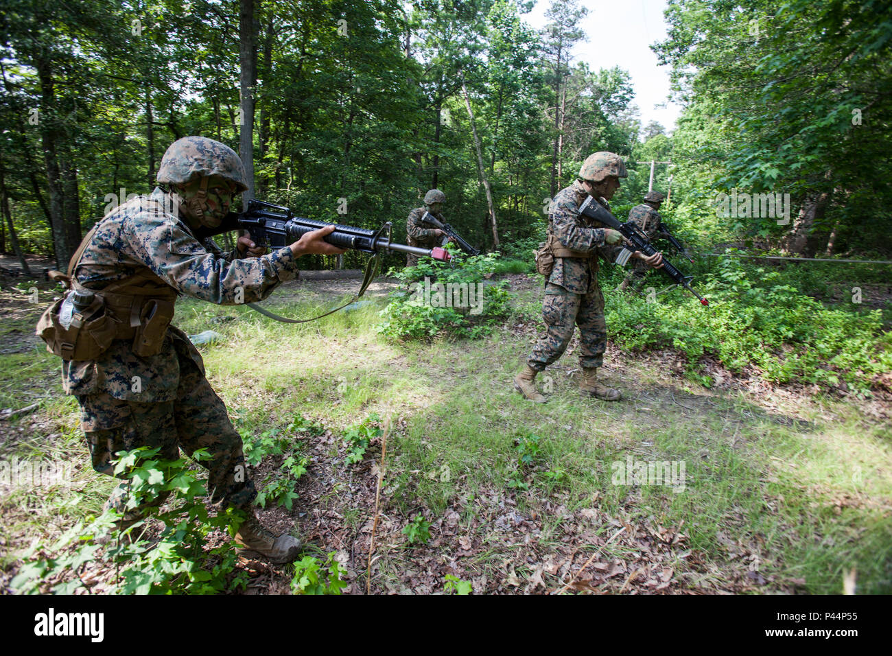 Training Command Quantico During a Fireteam Assault course at Marine Corps Base Quantico on June ...