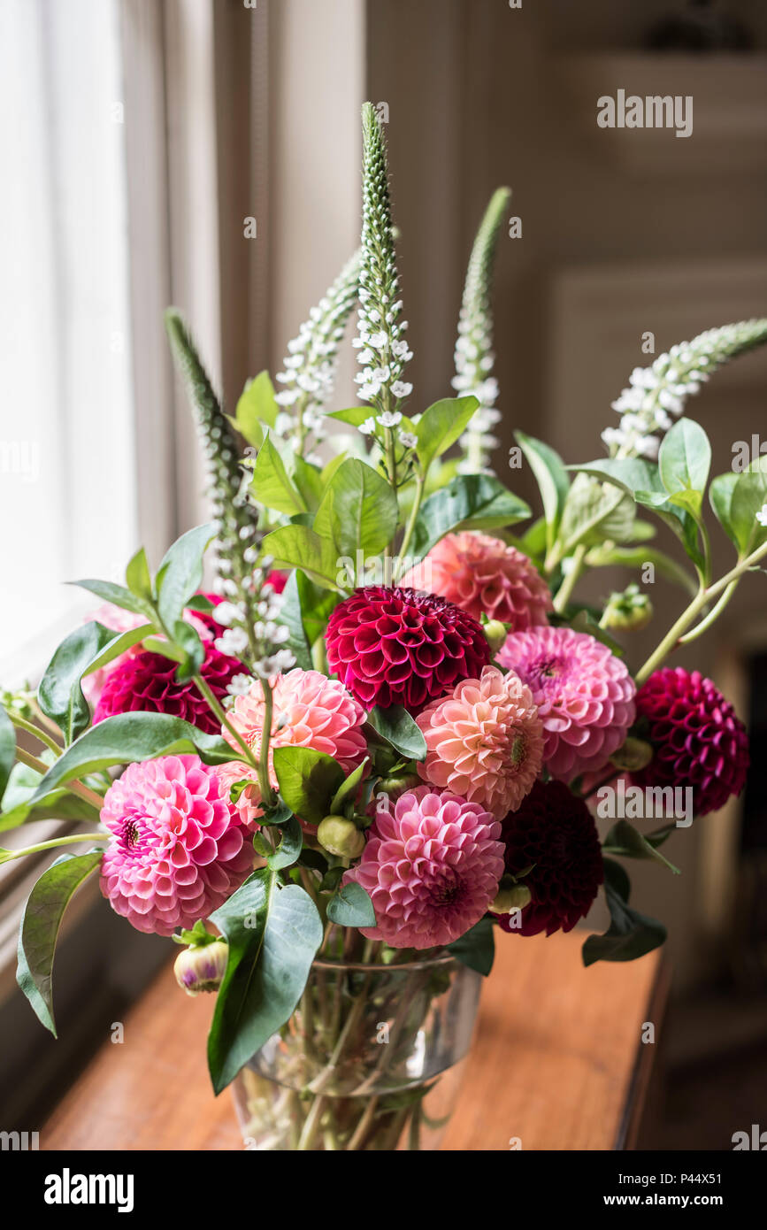 Dahlias vase hi-res stock photography and images - Alamy