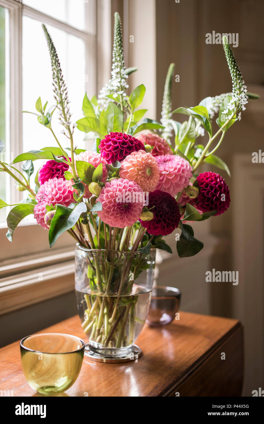 Pink Dahlias on window in Victorian home Stock Photo