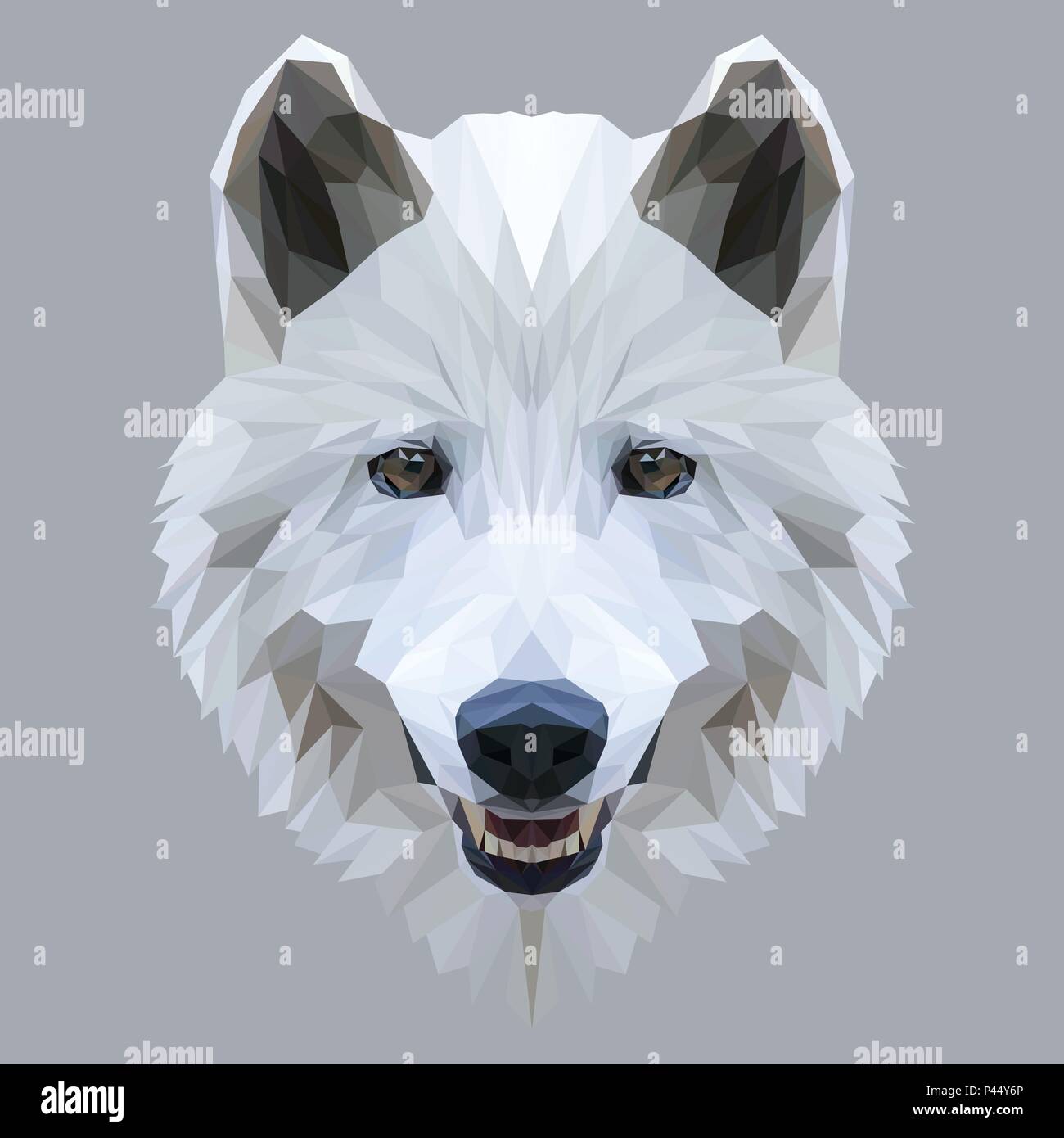 Wolf low poly design. Triangle vector illustration Stock Vector Image