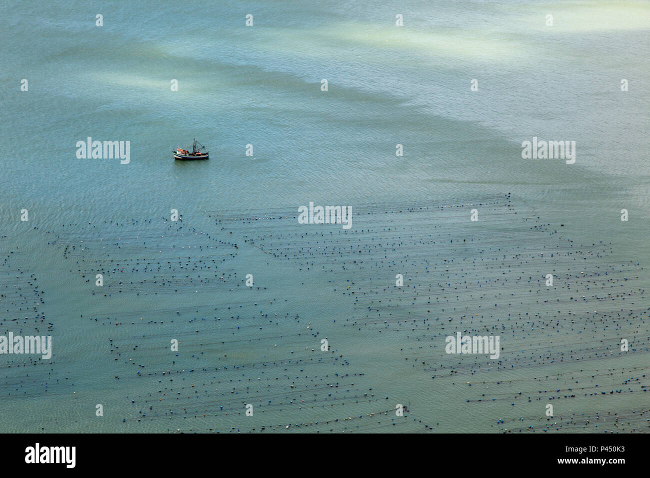 Vista aÃ©rea da fazenda de mariscos na praia de Canto Grande formada pelo chamado 'Mar de Dentro'. BOMBINHAS/SC, Brasil - 23/12/2013. Foto: AndrÃ© M. Chang / Fotoarena Stock Photo