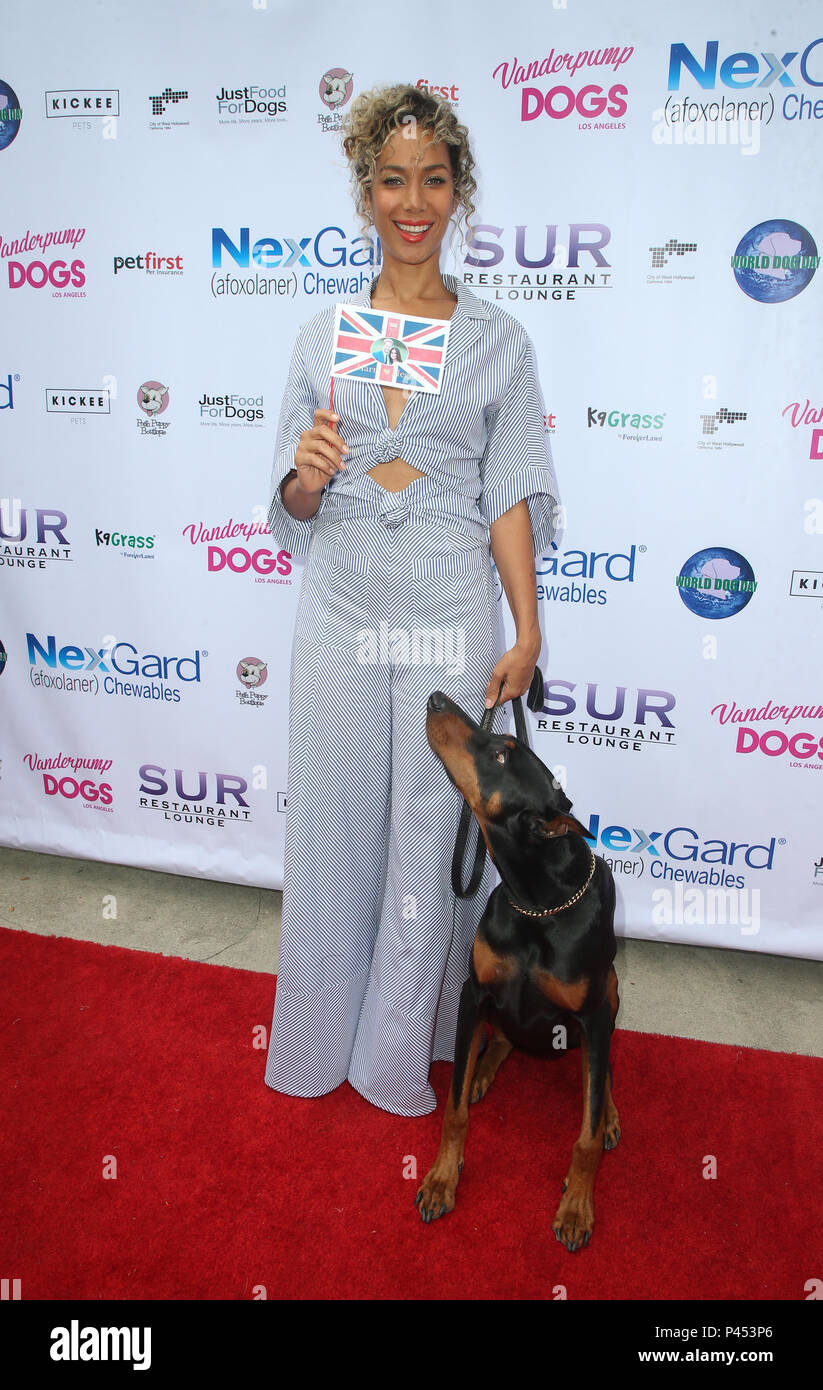 Lisa Vanderpump And The Vanderpump Dog Foundation's 3rd Annual World
