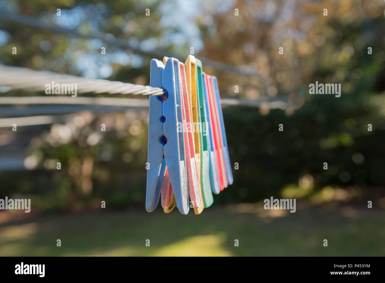 A row of colourful clothes pegs on a Hills Hoist clothes line in an Australian backyard Stock Photo