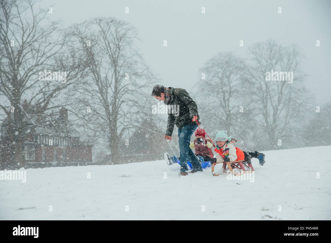 Man pulling sleds hi-res stock photography and images - Alamy