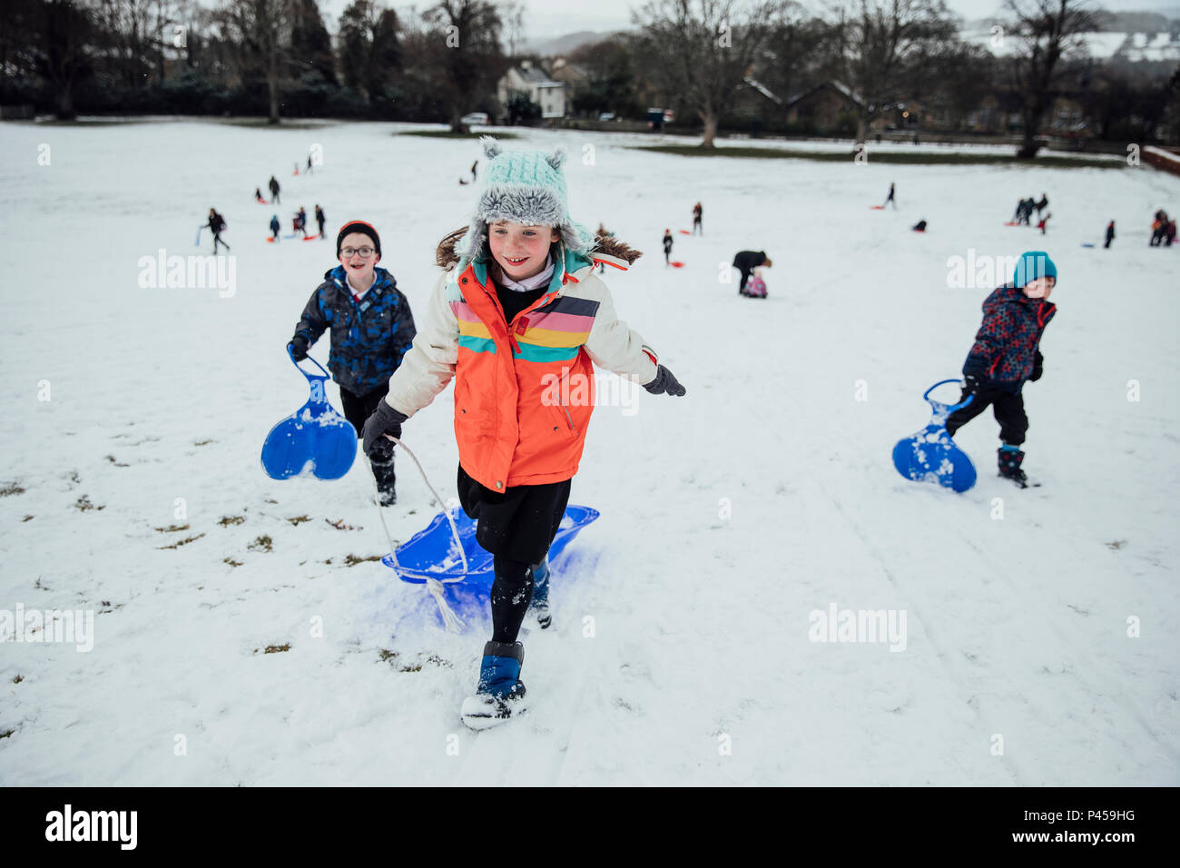Race of sleds hi-res stock photography and images - Alamy