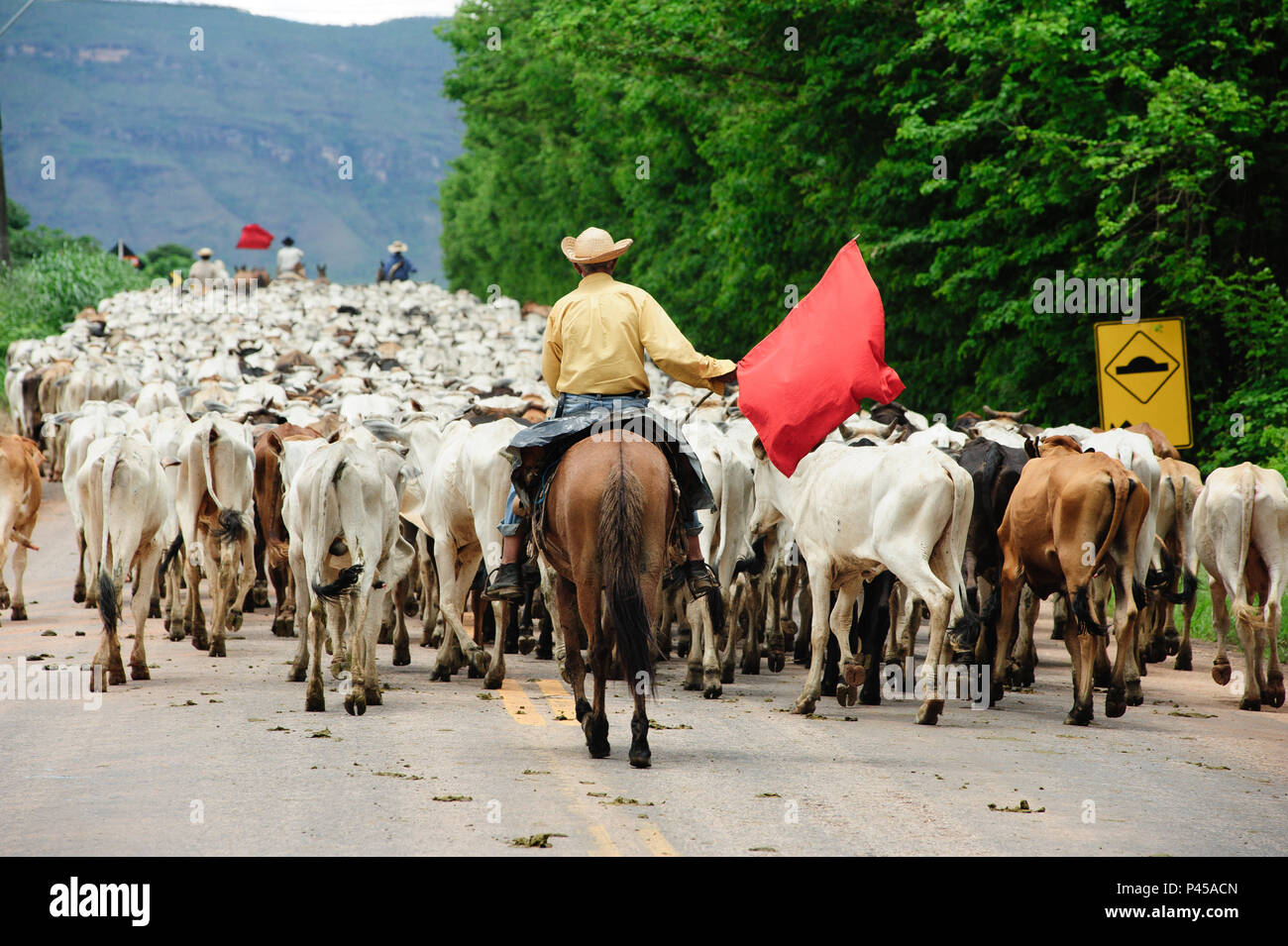 Boiada hi-res stock photography and images - Alamy