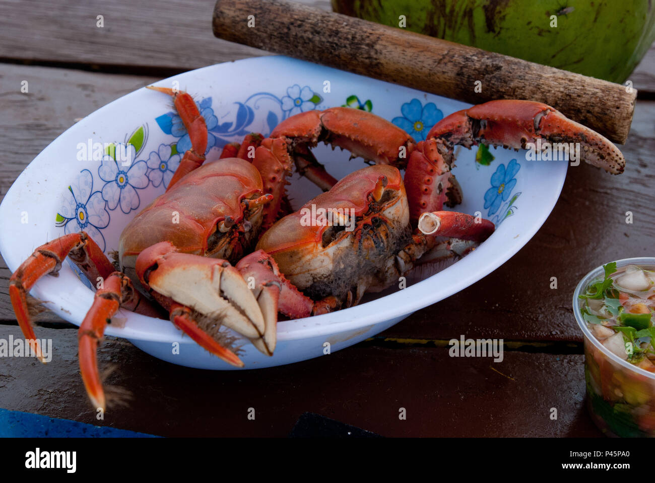 Aruana High Resolution Stock Photography And Images Alamy