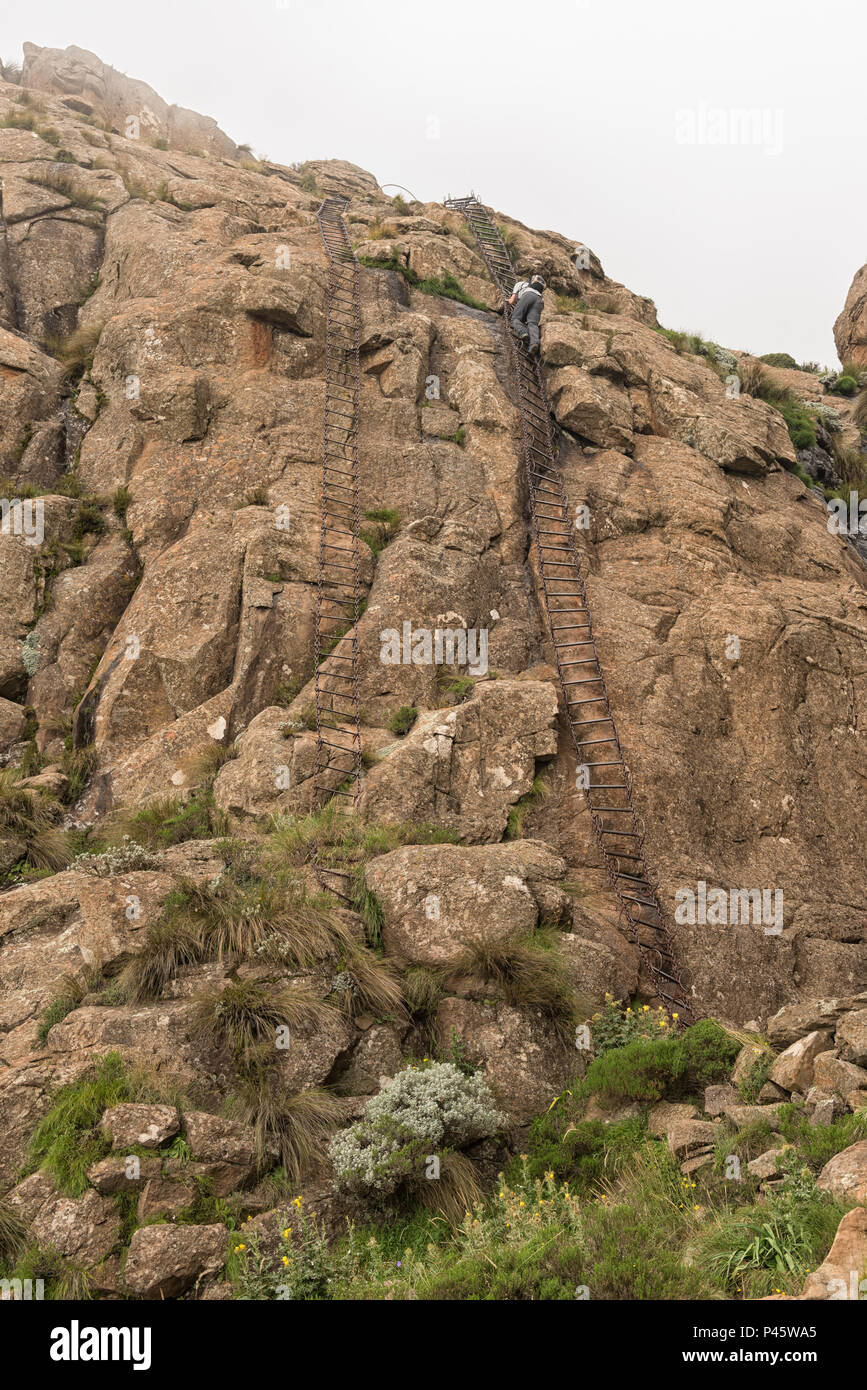 WITSIESHOEK, SOUTH AFRICA - MARCH 13, 2018: An unidentified hiker on the bottom chain ladders to the top of the Amphitheatre on the Sentinel Trail to  Stock Photo