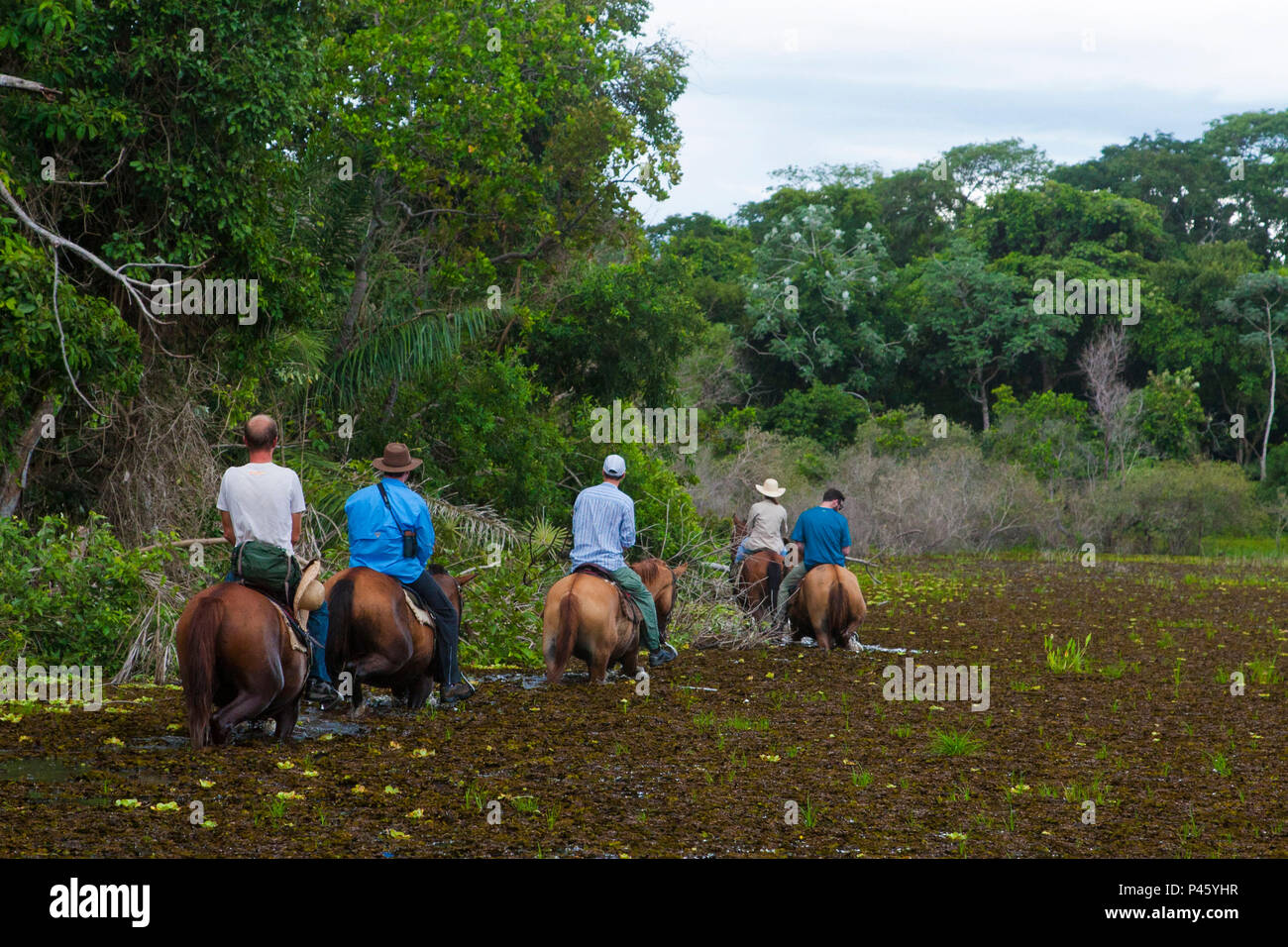 Cavalgada Pantanal - Eco Adventures Travel