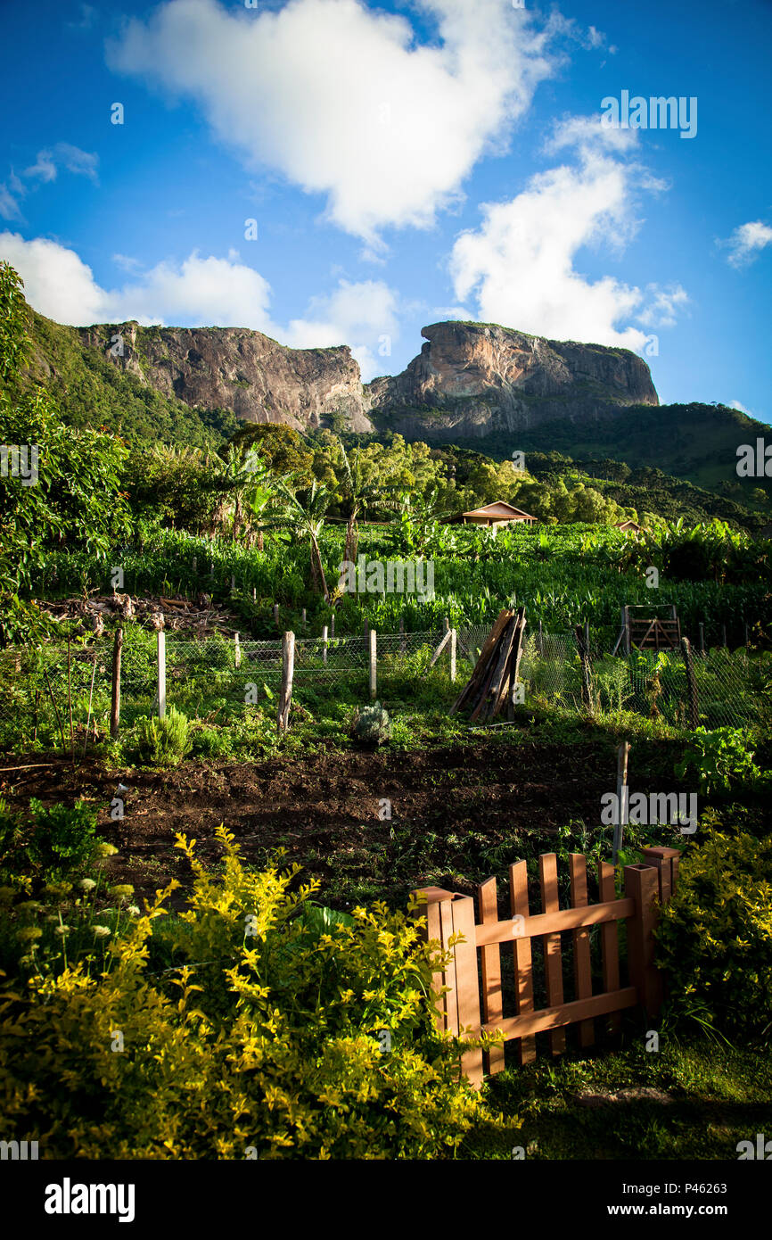Horta Orga Nico Paisagem Pedra Do Bau Sol Vegetaa A Sa O Bento Do Sapucai Sp Brasil 31 12 13 Foto German Espiaut Fotoarena Stock Photo Alamy