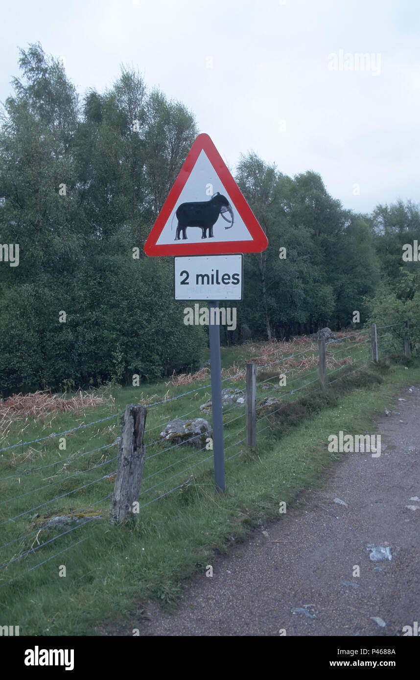 A road sign in England - the sign warning of cows on the road has been changed to an elephant Stock Photo