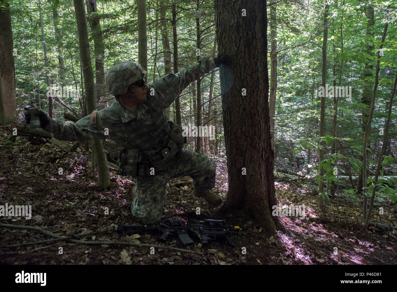U.S. Army Pfc. Saul Hernandez, assigned to Alpha Company, 3rd Battalion, 172nd Infantry Regiment, 86th Infantry Brigade Combat Team (Mountain), Vermont National Guard, prepares to throw a smoke grenade at Camp Ethan Allen Training Site, Jericho, Vt., June 15, 2016. Hernandez is running through an assault lane as part of a buddy-team exercise, during his two-week annual training. (U.S. Air National Guard photo by Tech. Sgt. Sarah Mattison/Released) Stock Photo
