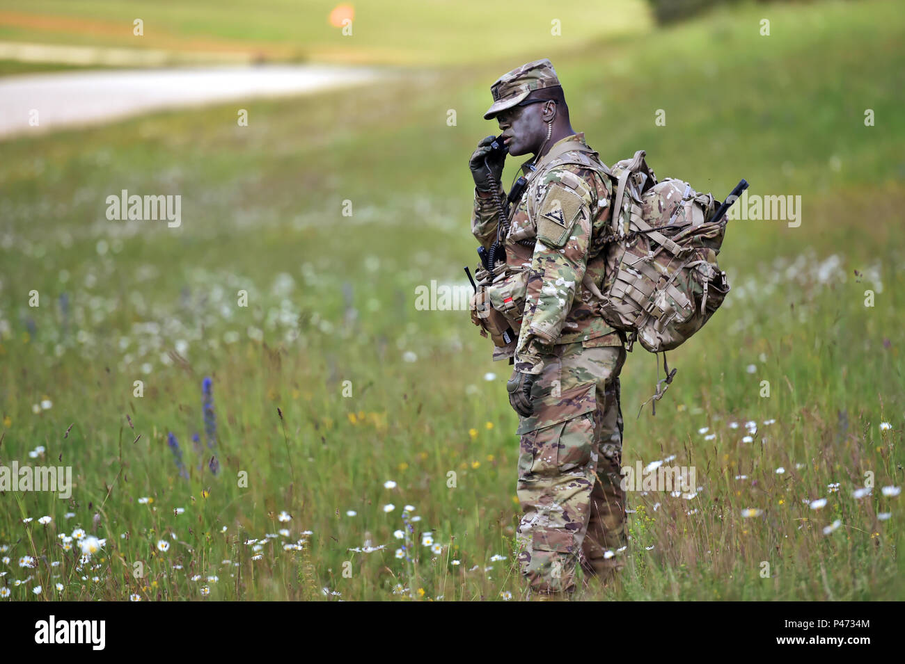 U S Army Com Sgt Maj Patrick Kelly Hi-Res Stock Photography And Images -  Alamy