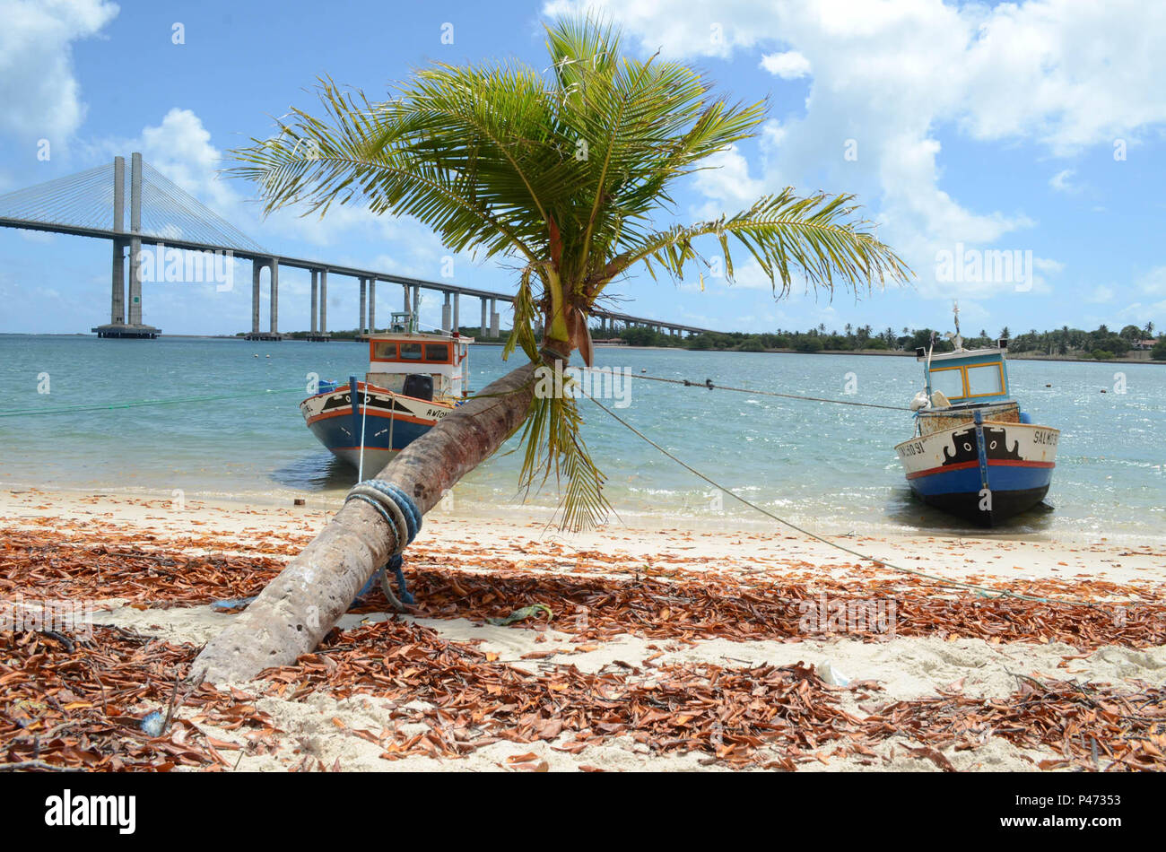 NATAL, RN - 10/01/2015: MOVIMENTAÇÃO NA PRAIA DA REDINHA EM NATAL - Sol forte e calor na praia da Redinha em Natal. (Foto: Adrovando Claro / / Fotoarena Stock Photo - Alamy NATAL, RN - 10/01/2015: MOVIMENTAÇÃO NA PRAIA DA REDINHA EM NATAL - Sol forte e calor na praia da Redinha em Natal. (Foto: Adrovando Claro / / Fotoarena Stock Photo - Alamy
