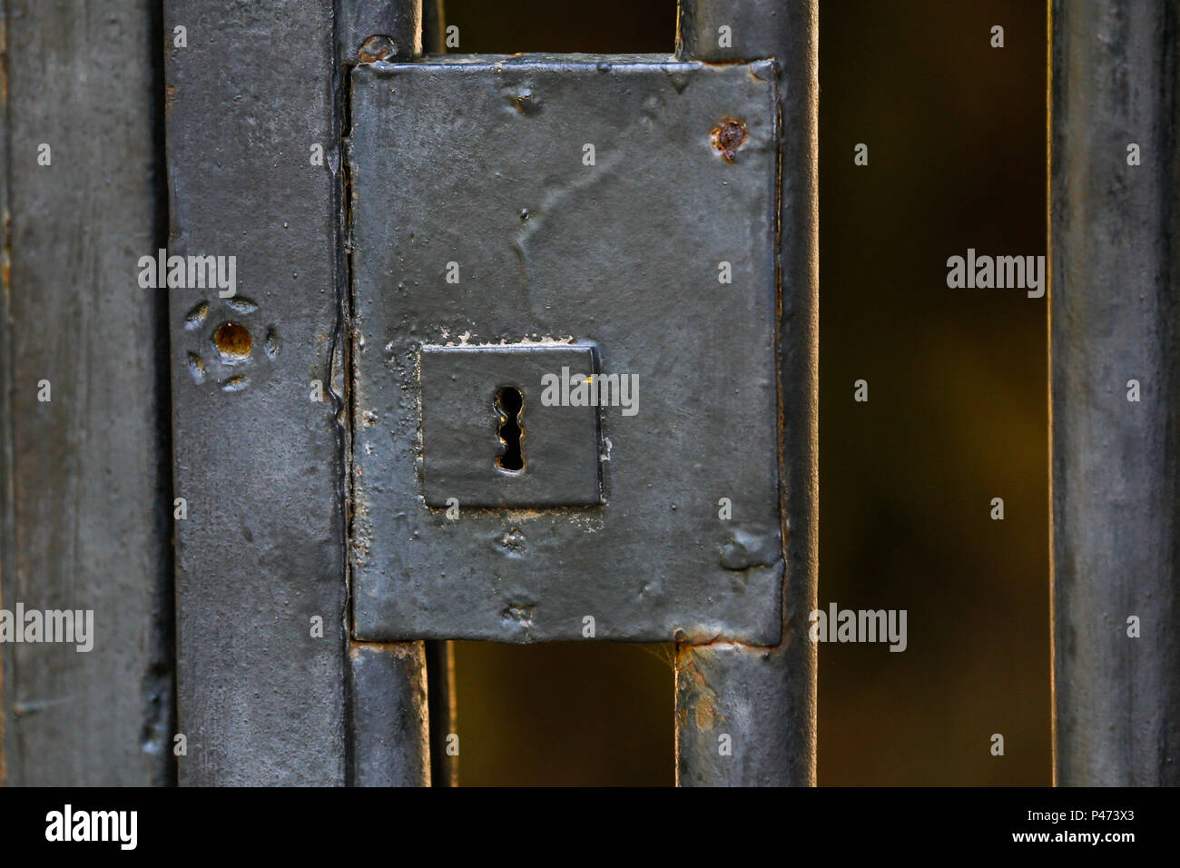 RIO DE JANEIRO, RJ - 15/01/2015: PORTAL DA ESCOLA IMPERIAL DE BELAS ARTES - Detalhe. Portal da Escola Imperial de Belas Artes(Old Academy of Fine Arts Portal), fica no interior do Jardim Botânico, na zona sul, no Rio de Janeiro, RJ. A antiga Real Academia de Belas Artes, foi a primeira obra do arquiteto Granjean de Montigny integrante da missão artística francesa e responsável pela introducão do estilo Neoclássico na arquitetura brasileira. O portal apresenta relevo em terracota, de autoria de Zeferino Ferrez. O prédio da Academia foi demolido em 1938, restando este portal frontal, remontado n Stock Photo