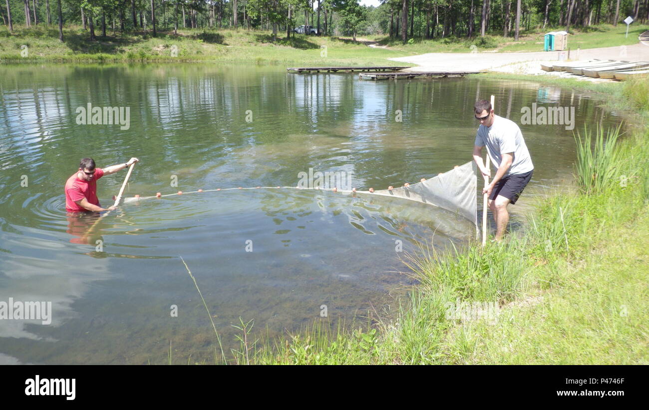 Seining operation hi-res stock photography and images - Alamy