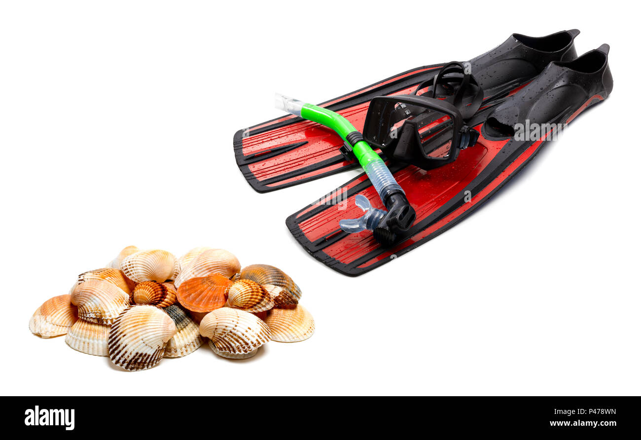 Mask, snorkel, red flippers with water drops and seashells isolated on white background Stock Photo