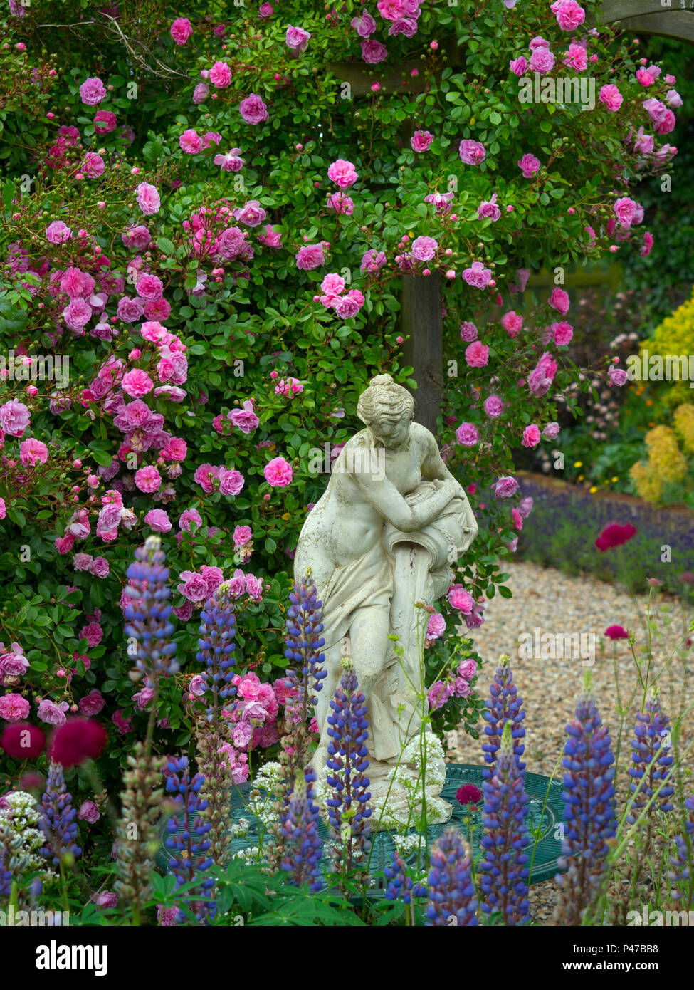 Climbing roses and statue in country garden Norfolk Stock Photo