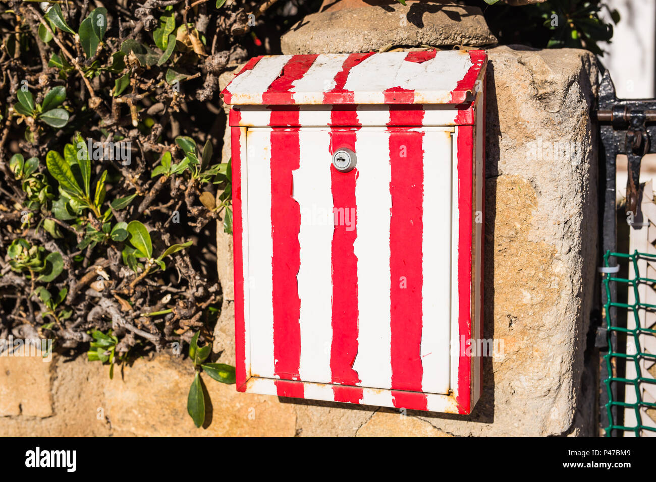 White red stripe mailbox on a stone fence with plants Stock Photo