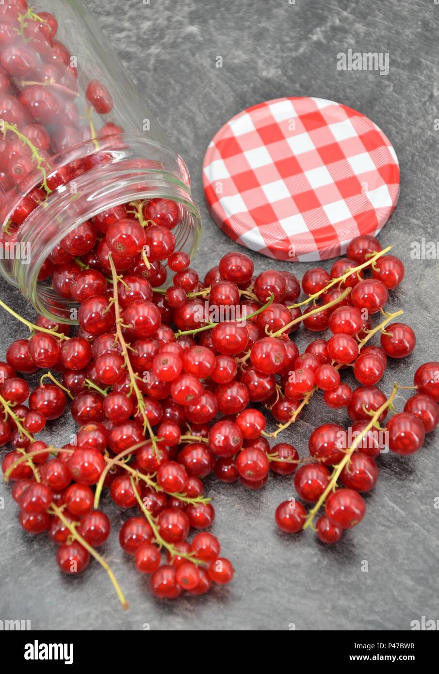 red currants Stock Photo