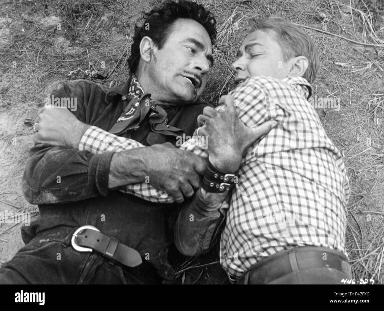 Original Film Title: GUNS OF THE TIMBERLAND. English Title: GUNS OF THE  TIMBERLAND. Film Director: ROBERT D. WEBB. Year: 1960. Stars: GILBERT  ROLAND; ALAN LADD. Credit: WARNER BROS. / Album Stock Photo - Alamy