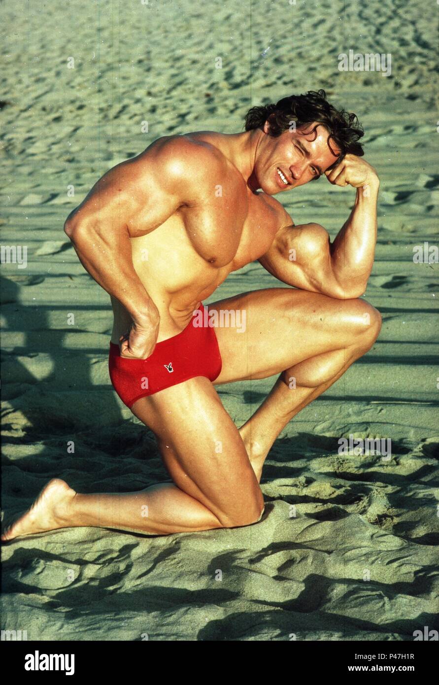 What 1996 christmas movie stars arnold schwarzenegger