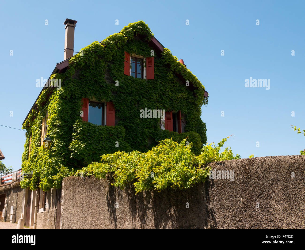 typical house overgrown with ivy in Annecy, France Stock Photo