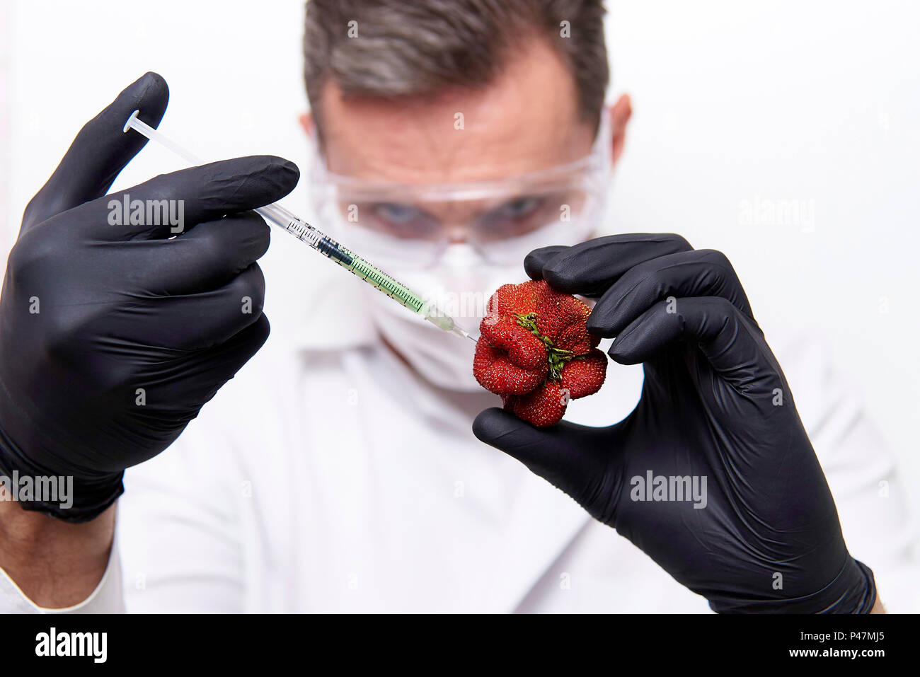 Hands of the scientist in black gloves with a syringe with injection and strawberries of unusual shape. Stock Photo