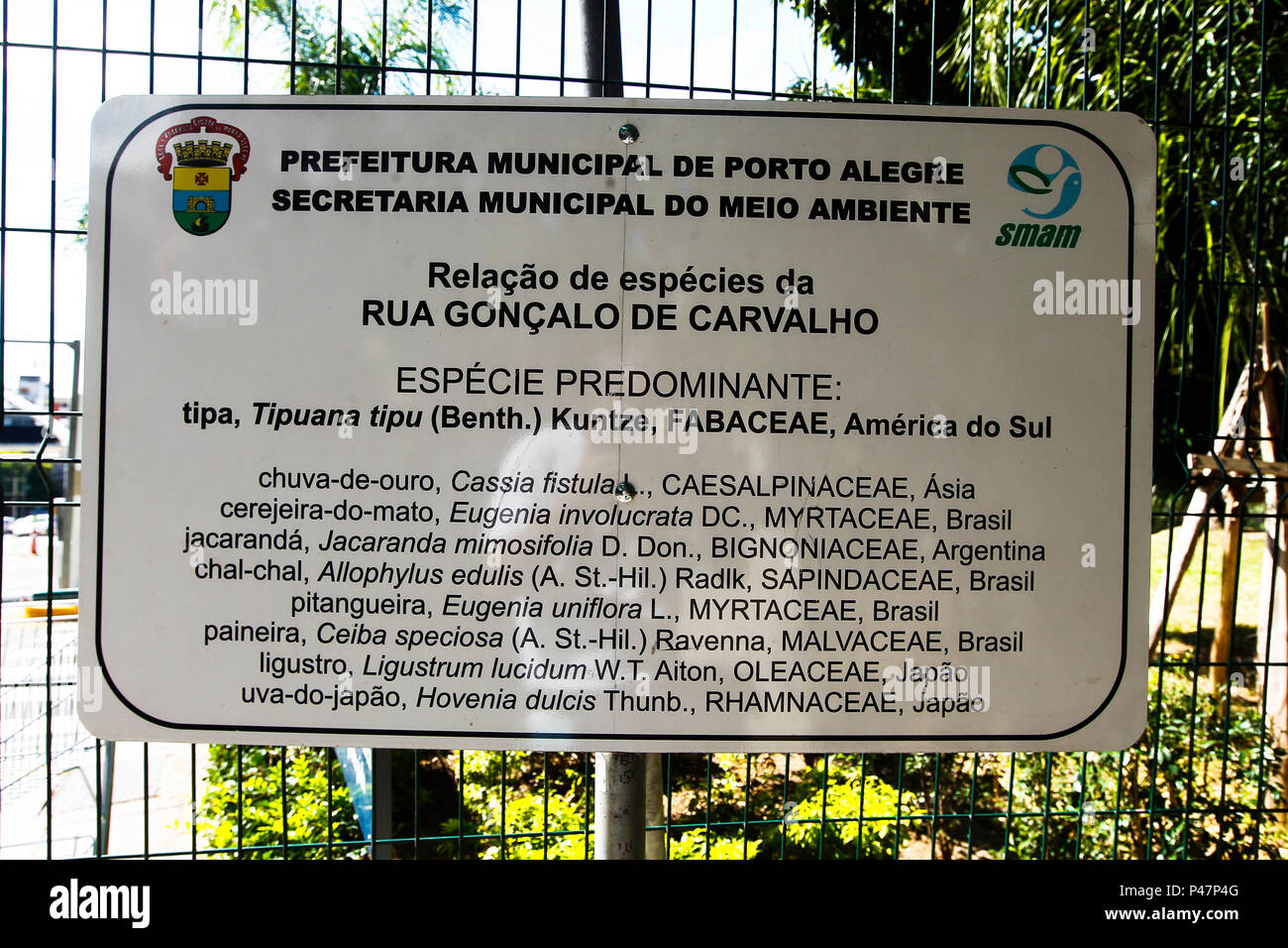 Rua GonÃ§alo de Carvalho. Porto Alegre/RS, Brasil. 13/02/2015. Foto: Carlos Eduardo de Quadros / Fotoarena. Stock Photo