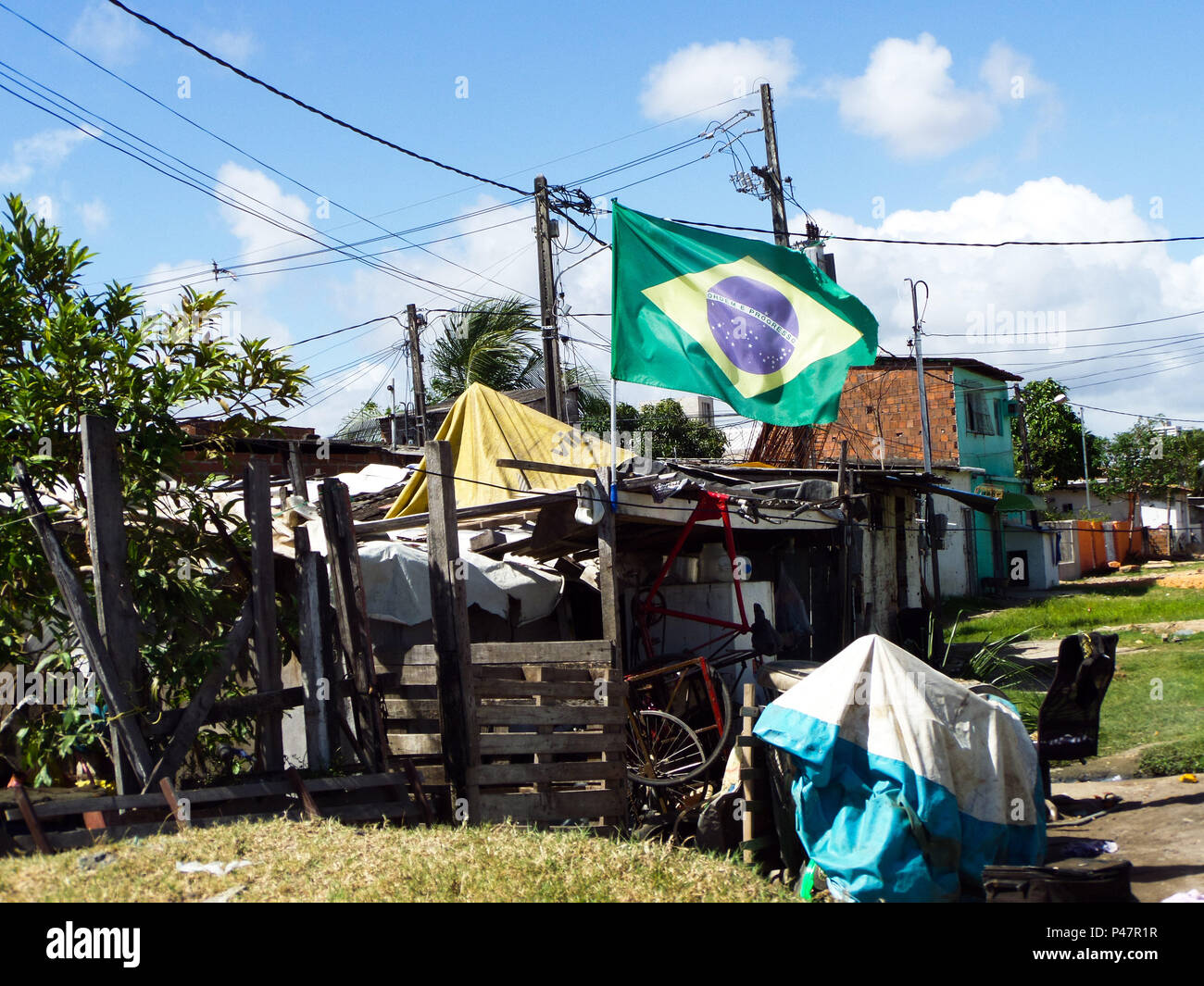 RECIFE, PE - 30/11/2014: CRIANÇAS CATANDO LIXO NO CANAL ARRUDA -As famílias  dos meninos da comunidade Saramandaia flagrados catando lixo no Canal do  Arruda, Zona Norte do Recife,as famílias dos meninos não, image size:1300x1065