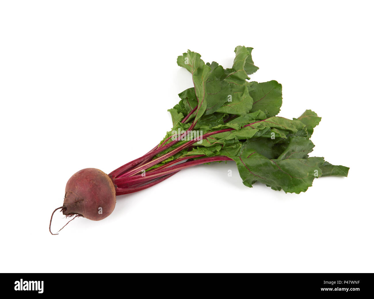 Beetroot with leaves isolated on white background Stock Photo