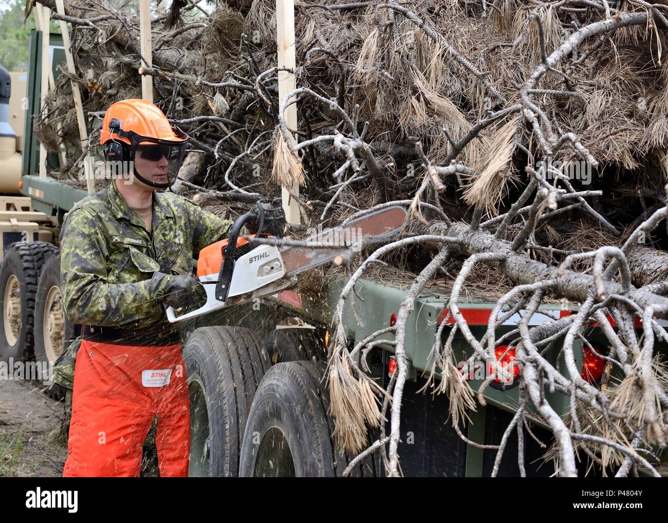 A soldier from 41 Combat Engineer Regiment with Task Force 41 operates ...