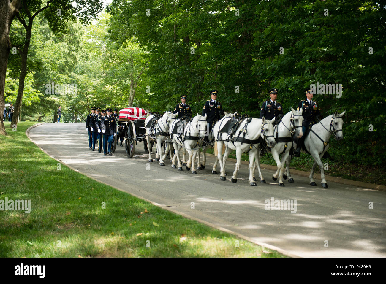 Members of the 3d U.S. Infantry Regiment (The Old Guard) participate in the graveside service for U.S. Army Sgt. 1st Class Alan Lee Boyer in Section 28 of Arlington National Cemetery, June 22, 2016, in Arlington, Va. Boyer, a Green Beret, was listed missing in action during the Vietnam War and his remains were recently identified. (U.S. Army photo by Rachel Larue/Arlington National Cemetery/released) Stock Photo