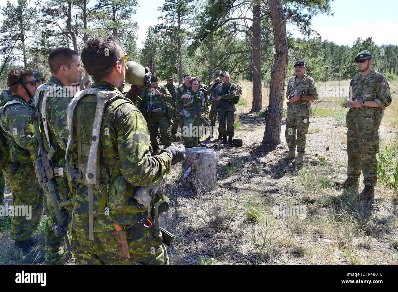 Members of Task Force 41 provide cover fire during dismounted battle ...