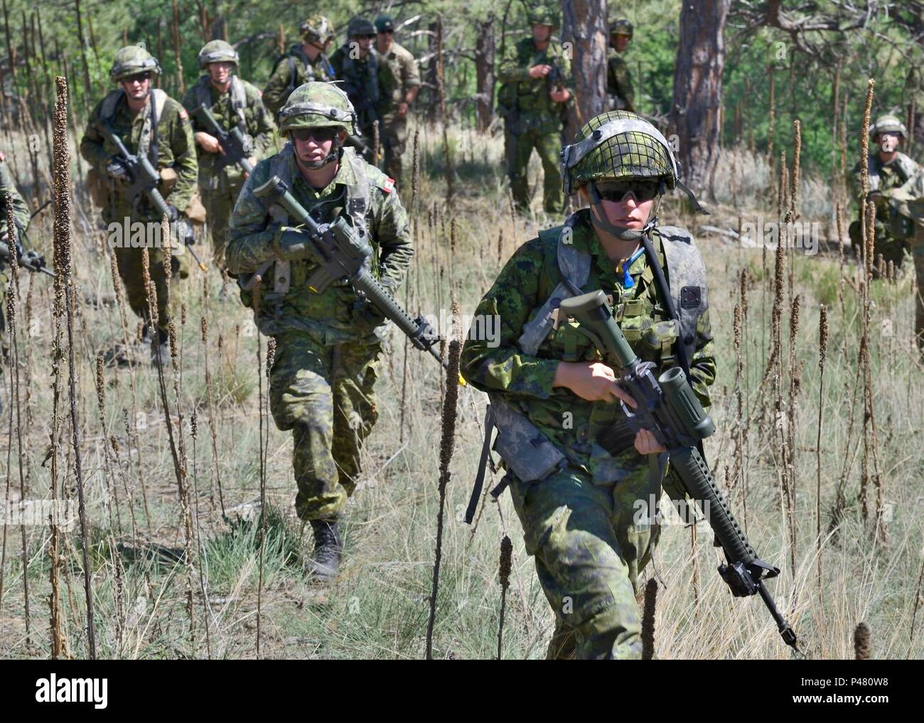 Suriname denmark hi-res stock photography and images - Alamy