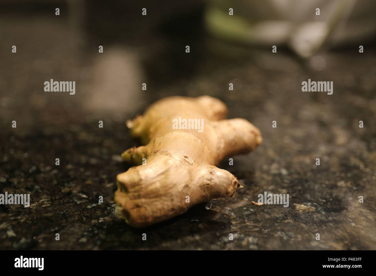 Planta de java hi-res stock photography and images - Alamy