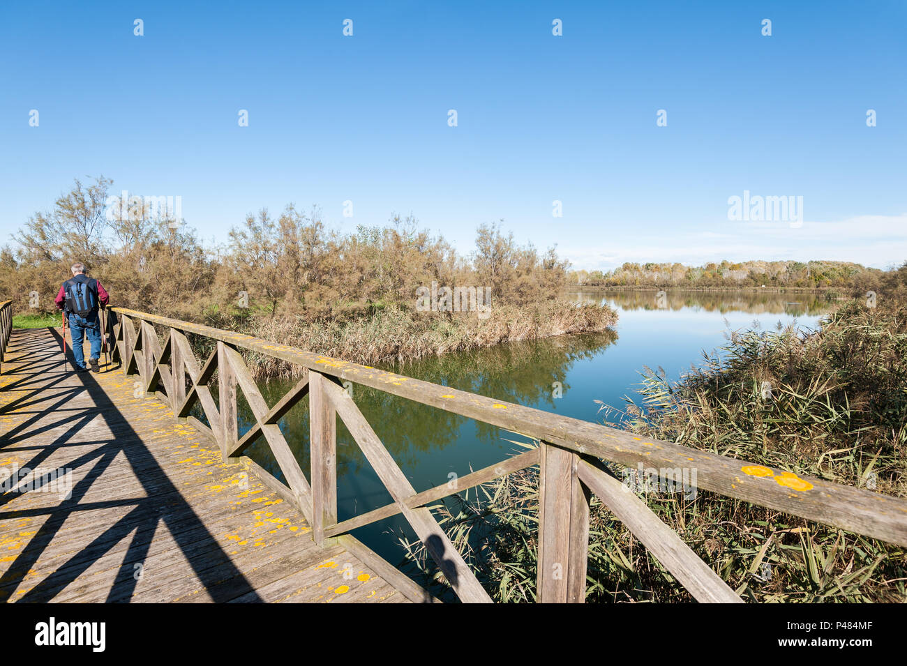 Hiker (60 years old) on a wooden footbridge on the river.  Rear view. Stock Photo