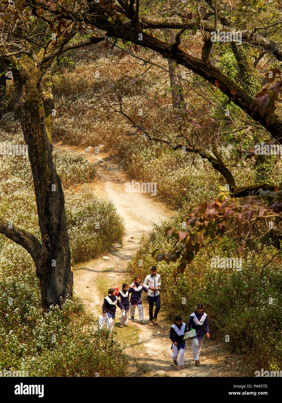 Kids coming back from school using the Forest Road near Kala Agar village, many times mentioned by Jim Corbet in the book Maneaters of Kumaon, India Stock Photo