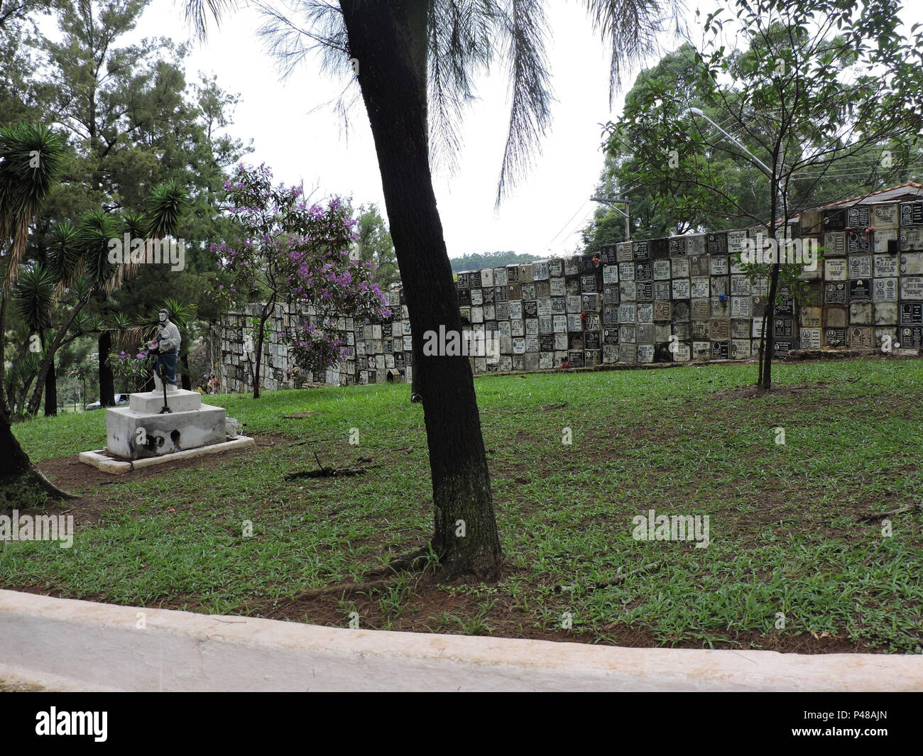 São Paulo, SP 08/03/2015 CEMITÉRIO DE PERUS Parede de ossadas no